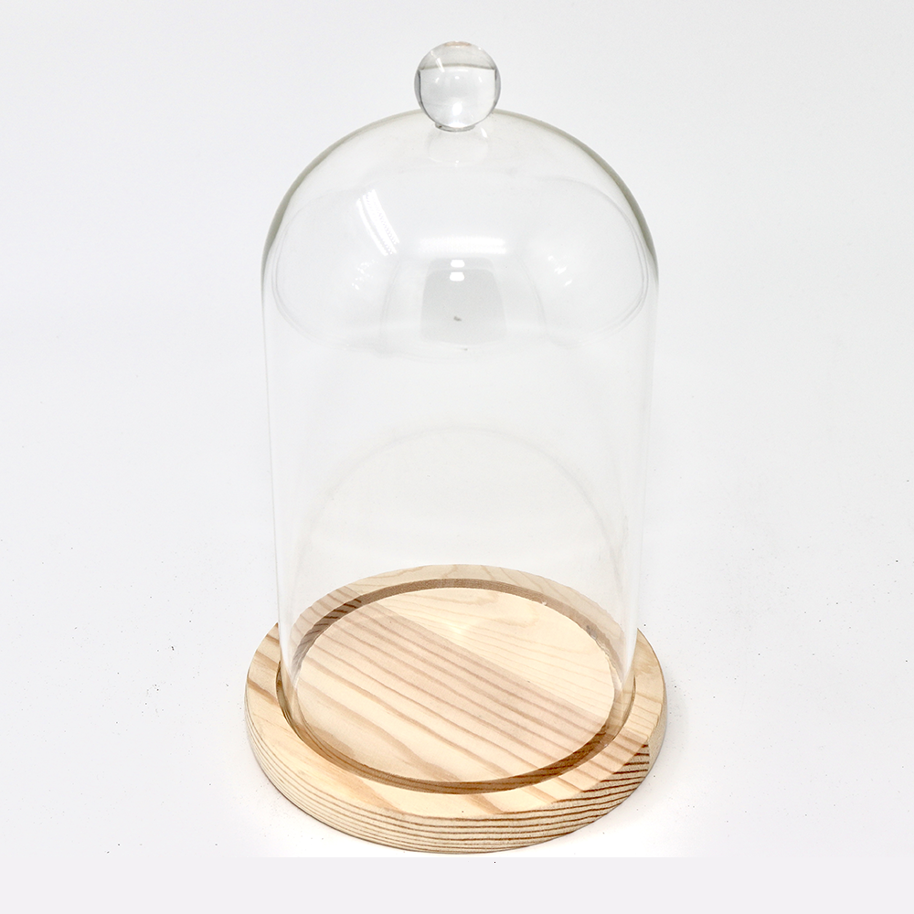 1220YQZPD Glass Display Refined