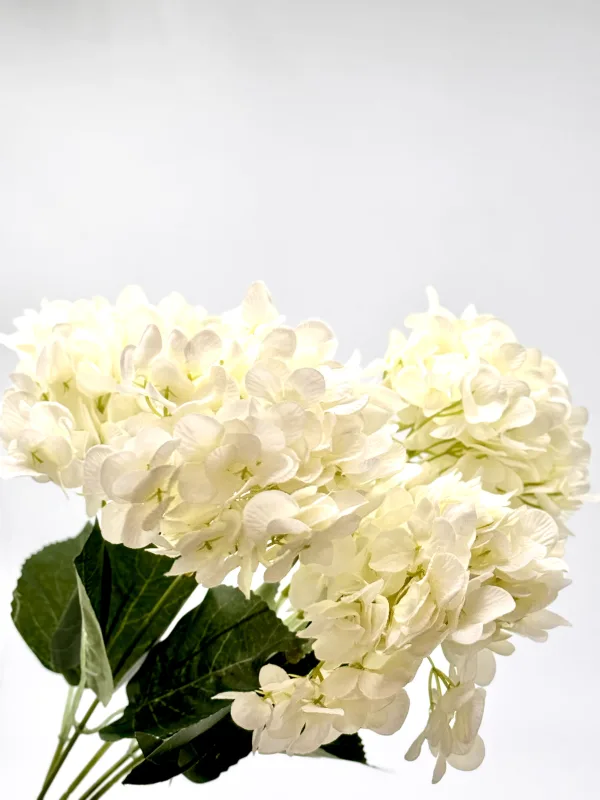 5 head white hydrangea