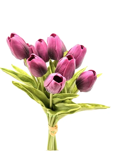 Purple Foam Tulip