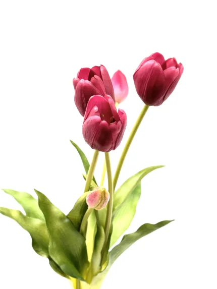 Purple Silicone Tulip