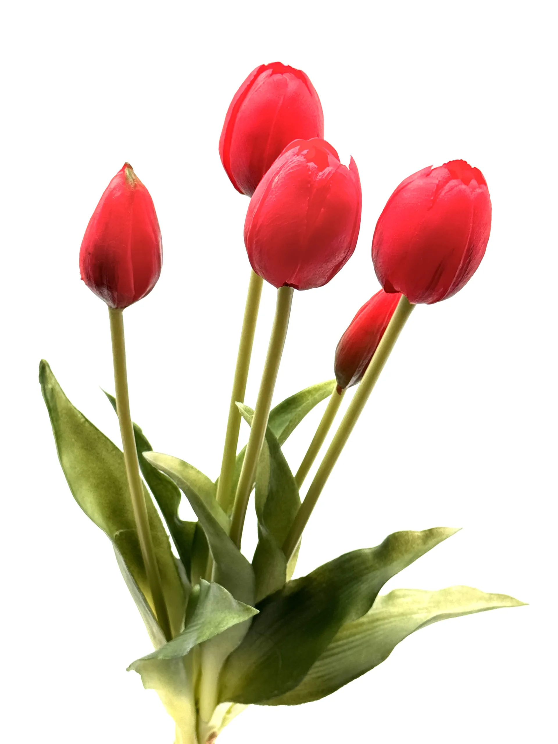 red silicone tulip red silicone tulip scaled