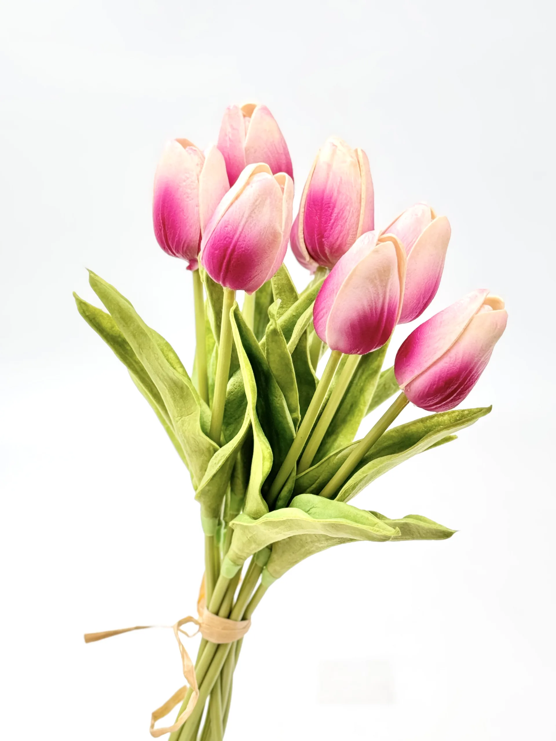 white & pink foam tulip white pink foam tulip scaled