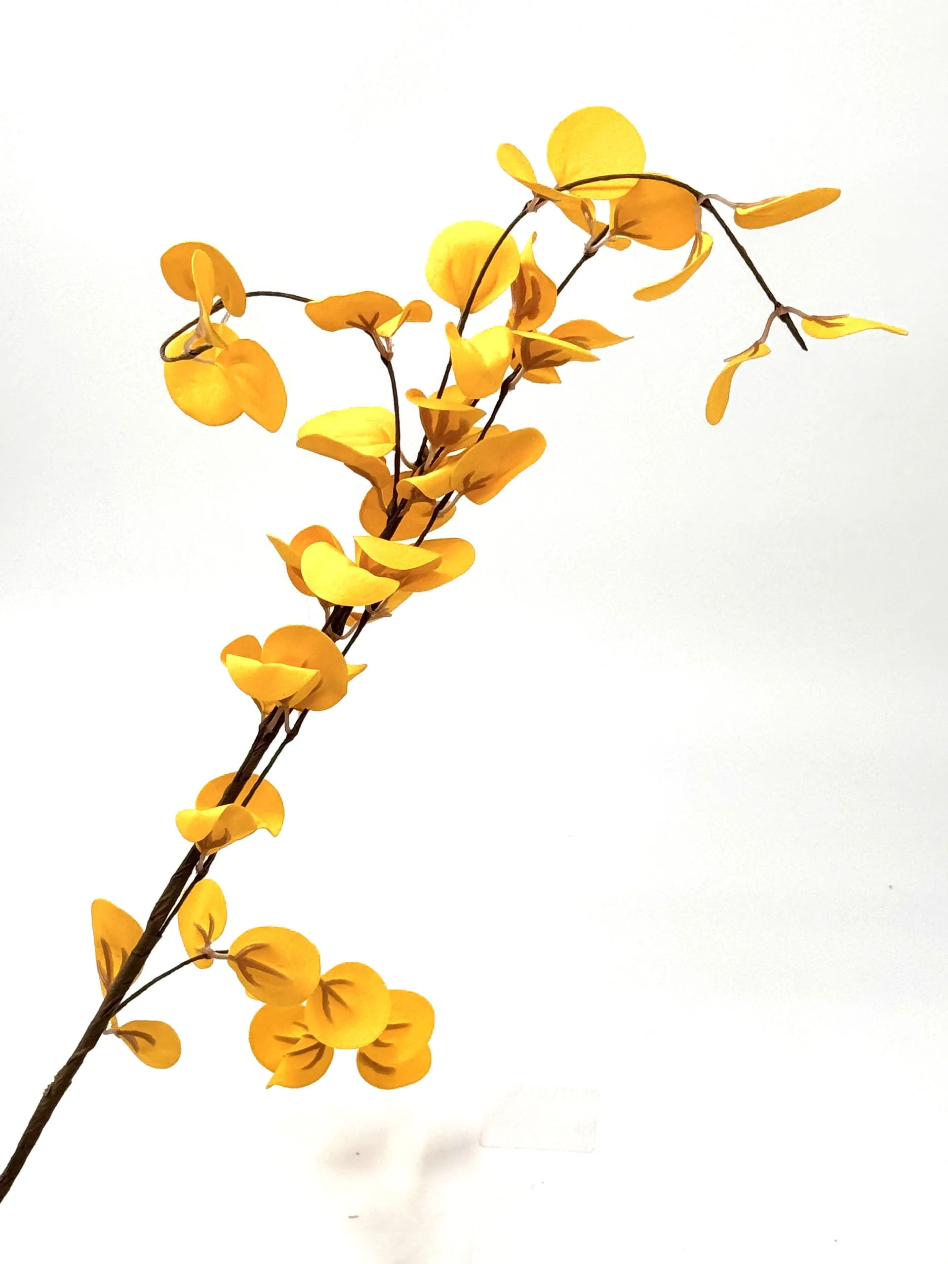 yellow filler yellow filler scaled